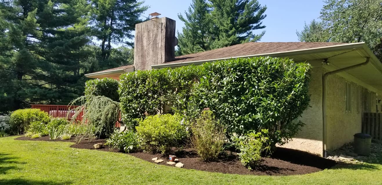 Professional residential property landscape design by Fox Landscaping Company Inc. showcasing precision mulch beds and mature hedge maintenance.