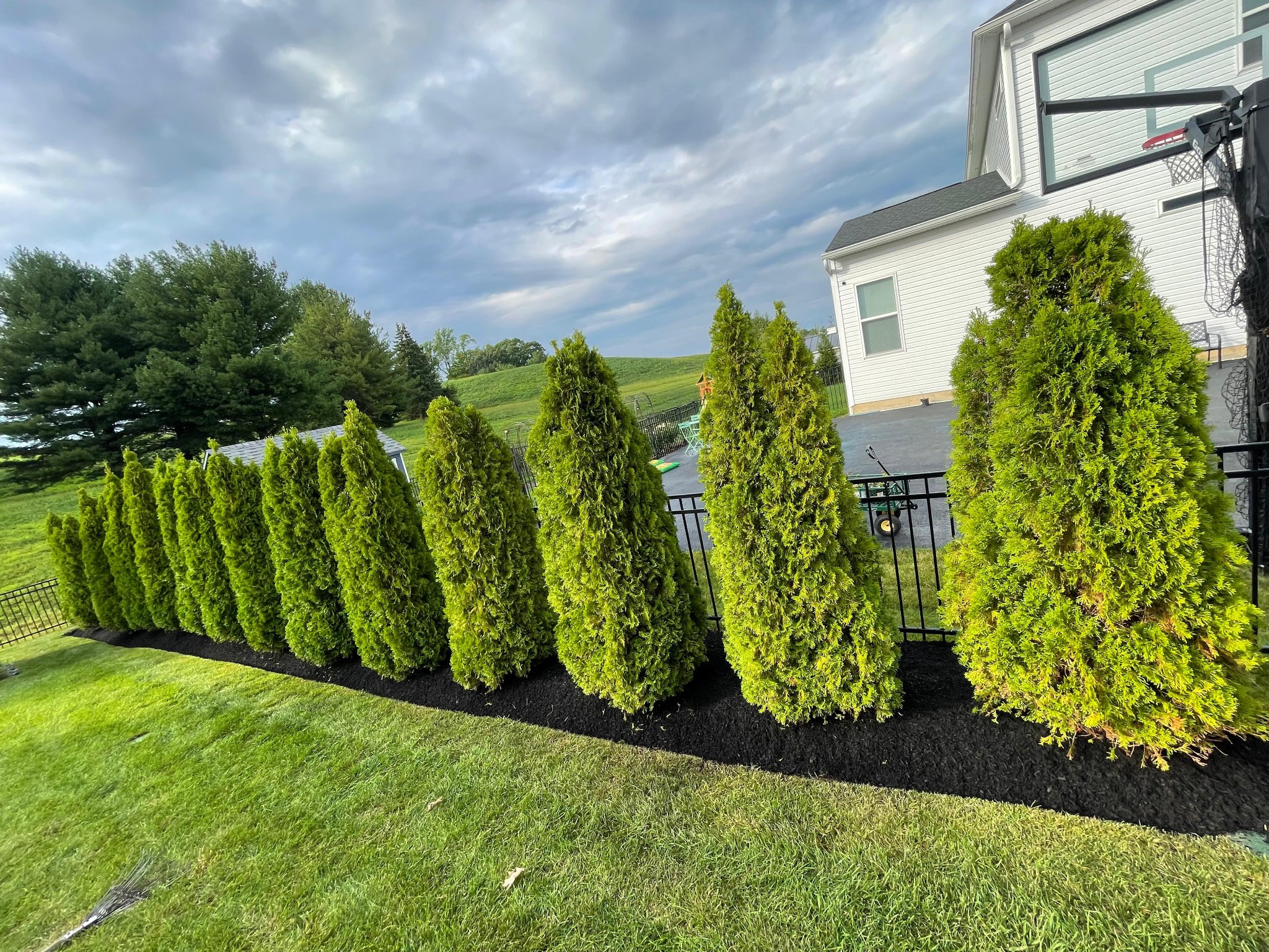 Privacy Trees